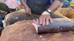 KASIMEDU 🔥 SPEED SELVAM | BIG KORALI FISH CUTTING VIDEO | IN KASIMEDU | FF CUTTING 🔪