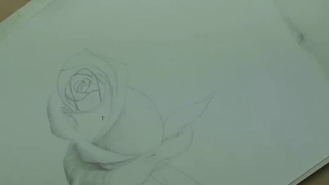 Рисуем розу карандашом | Crash ROSE #5 смотреть онлайн