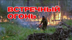 Встречный огонь. Пожары в Якутии. Дневник добровольца. Выпуск 2.