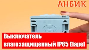 Выключатель влагозащищенный IP65 Efapel - ANBIK.RU