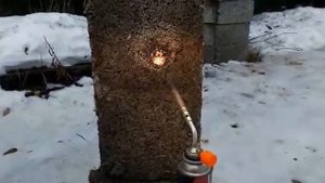 Стойкость к горению арболитовых блоков