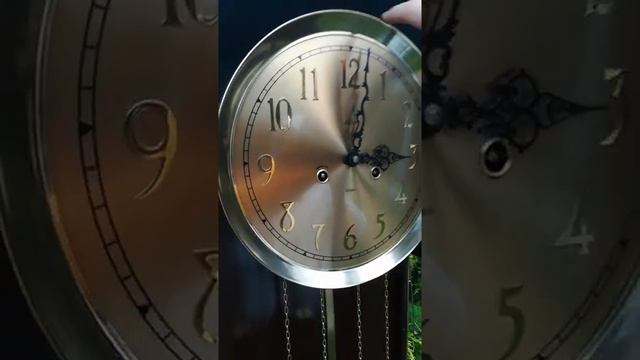 Механические Напольные Часы Adler Poland
