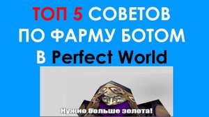 ТОП 5 СОВЕТОВ ПО ФАРМУ БОТОМ В PERFECT WORLD