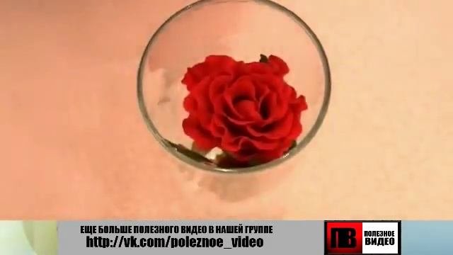 Как_сохранить_букет