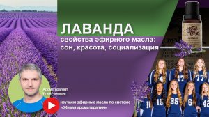 Масло Лаванды - свойства и применение в ароматерапии