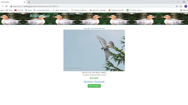 I took a birding quiz DO I KNOW WHAT IM TALKING ABOUT смотреть онлайн