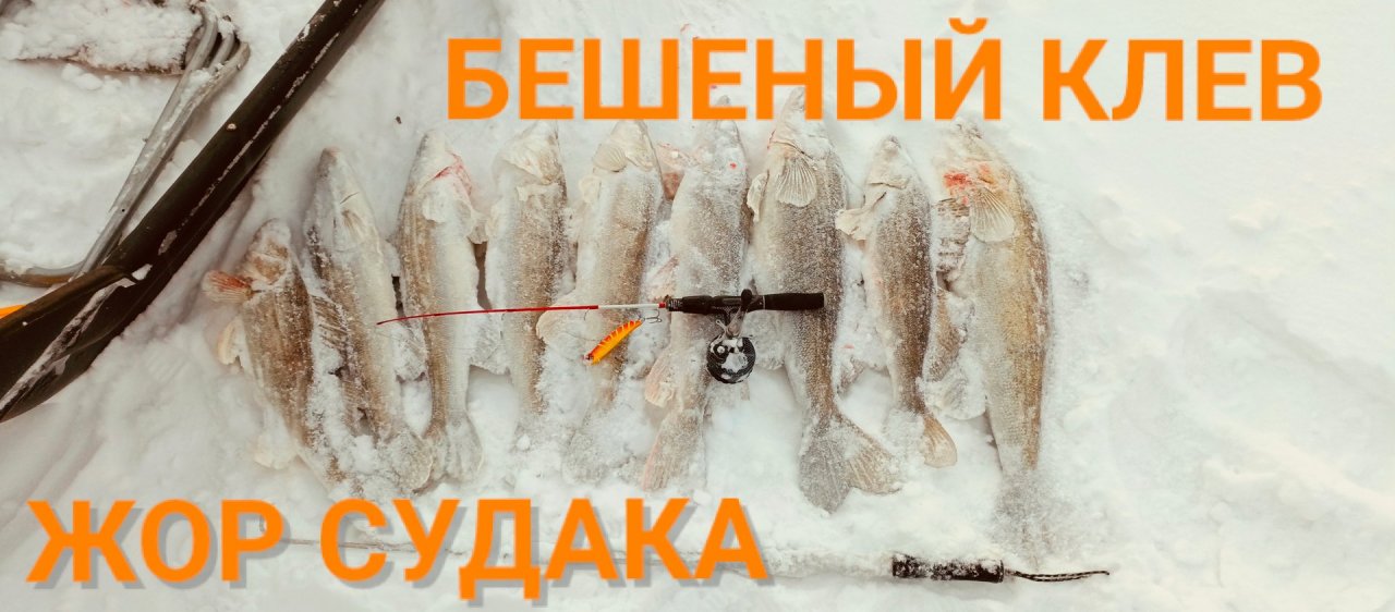 СУДАКИ в каждой лунке !!! ЛУЧШИЙ РАТТЛИН 2024!!! Ловля СУДАКА зимой!!!