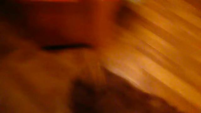 Чау-Чау Боня.AVI смотреть онлайн