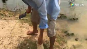 Вот как ловят рыбу в китае