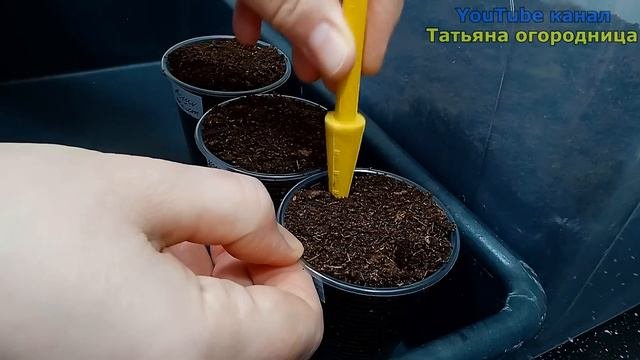ПЕРЕЦ ЛЮБИТ КОМПАНИЮ! Как буду сеять ПЕРЕЦ НА РАССАДУ.