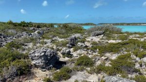 EP. 37 SAILING and DIVING the EXUMA CAYS Land and Sea Park