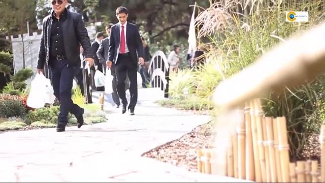 Свадьбы в Алматы смотреть онлайн