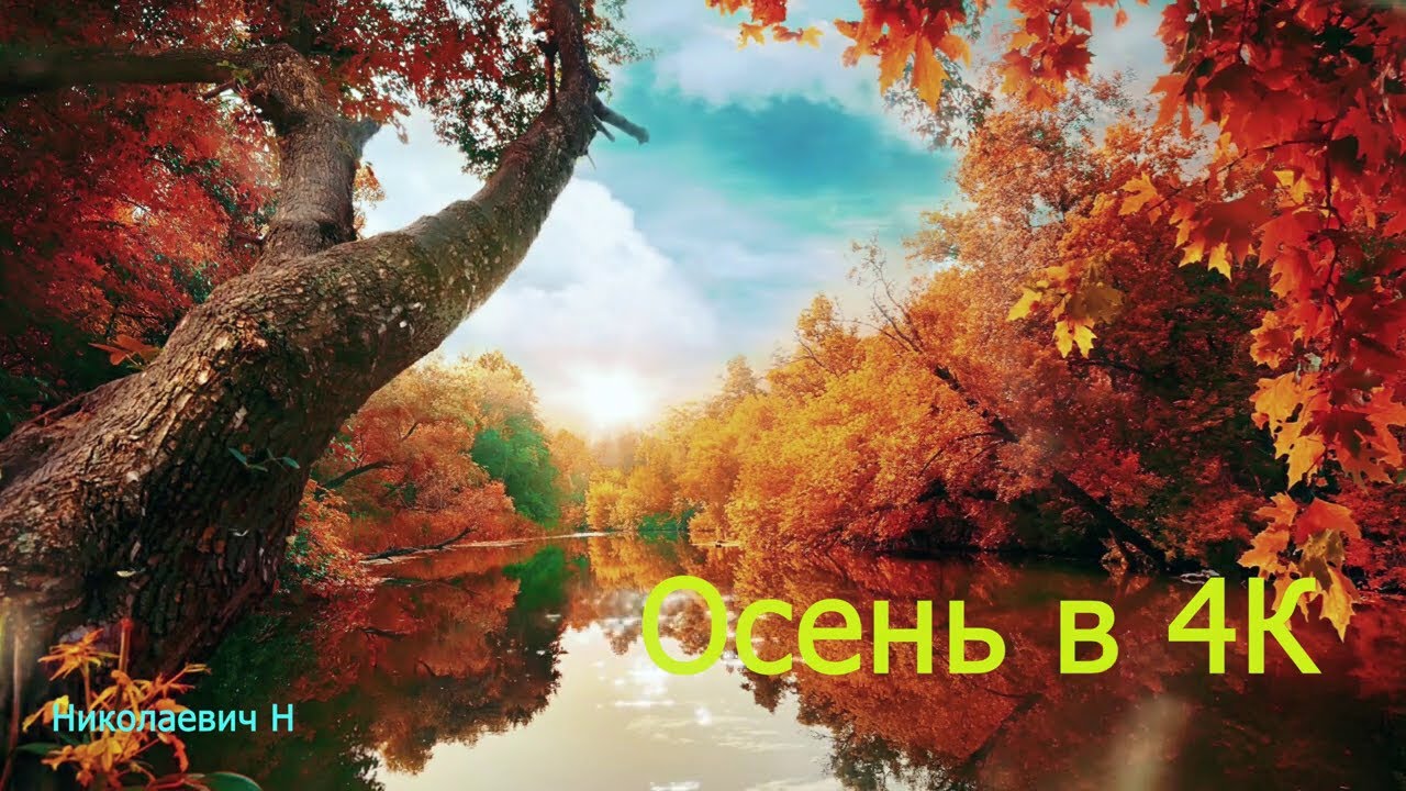 Осень в 4К  (Ultra HD) (2160p)