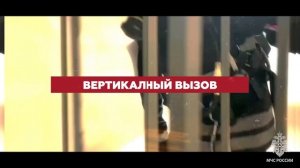 Вертикальный вызов