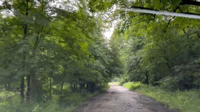 Горные дороги Грузии #грузияпутешествия #горы #горыкавказа #дороги #вгорах