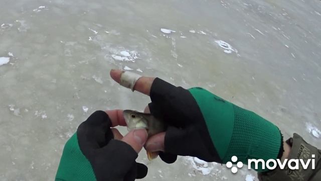 Зимняя блесна «ПУЛЯ», тест на водоеме. Зимние блесны своими руками смотреть онлайн