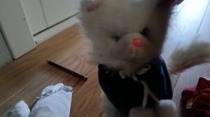 Амонг ас с котами