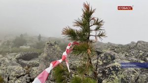 Добежать до неба