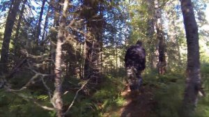 река Ендырь Ханты-Мансийский автономный округ