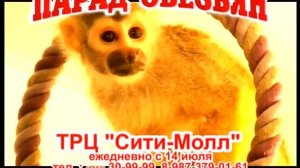 Выставка "Парад Обезьян"