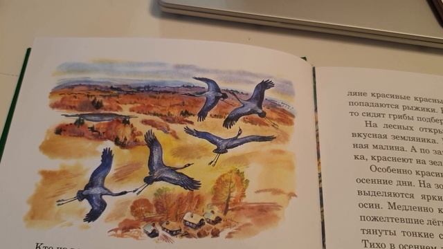 5 класс: Соколов-Микитов "Русский лес", "Лоси" 28.03.2020 смотреть онлайн