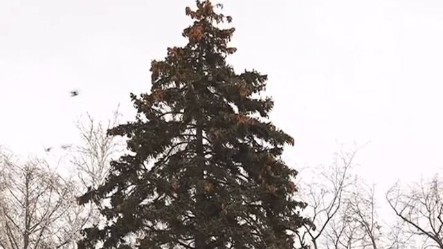 О глобальных изменениях климата рассказали синоптики во Всемирный день метеорологии