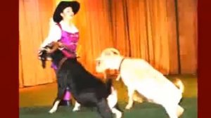 Какие бывают театры."Путешествие в театр". Часть 2.
Автор: Мы все из детства@KS240861