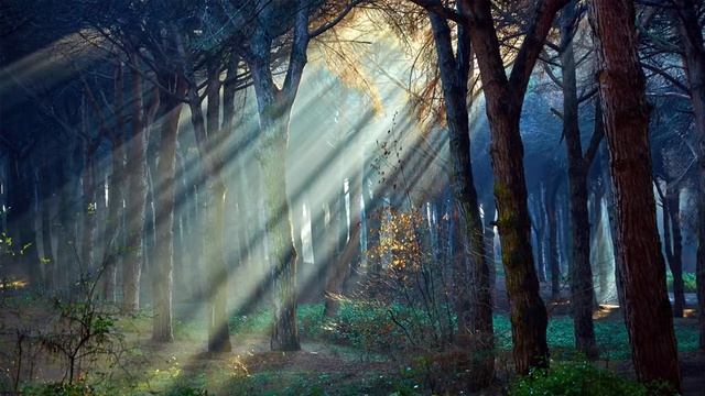 Музыка для расслобление души и для хорошего сна