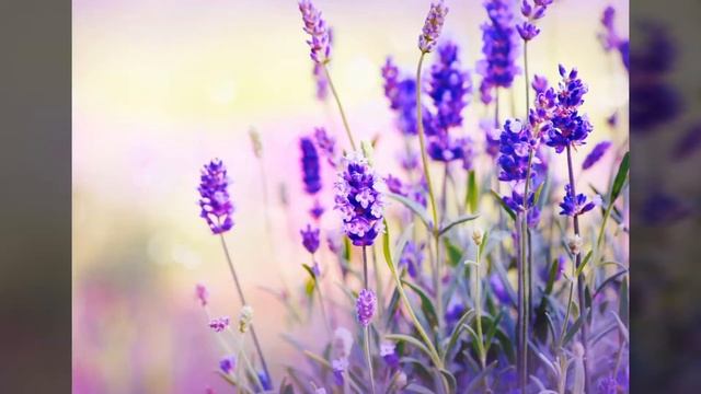 Как убрать запах пота навсегда смотреть онлайн