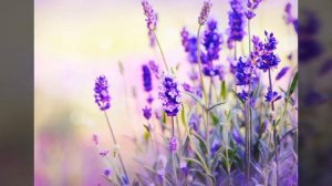 Как убрать запах пота навсегда