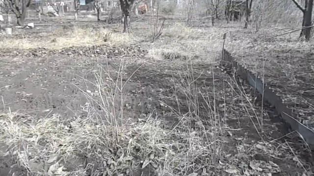 Авдотьино _01.04.2018 смотреть онлайн