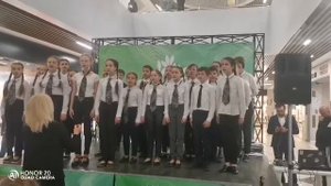 Звездопад(Пахмутова), ст. хор дши3, я конц-р