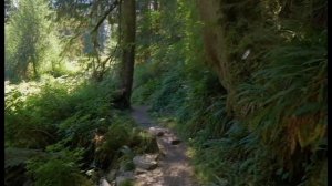 "Лирическая". Поет Диана Барсукова