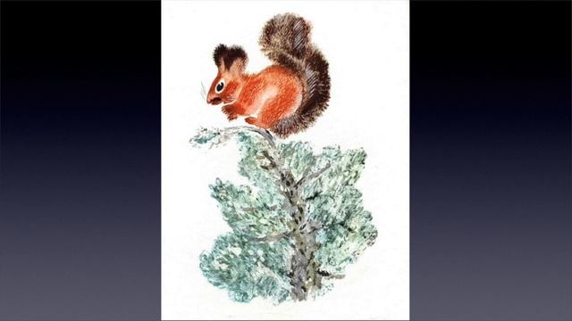 Е И Чарушин смотреть онлайн