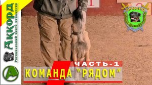 Дрессировка щенка. КОМАНДА "РЯДОМ". Часть - 1