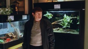 Дебил (Жмурки)