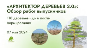 Обзор 118 деревьев - работ выпускников курса «Архитектор деревьев 3.0» 7 мая 2024 г.