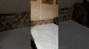 Матрас Димакс Баланс Фоам Файв отзыв