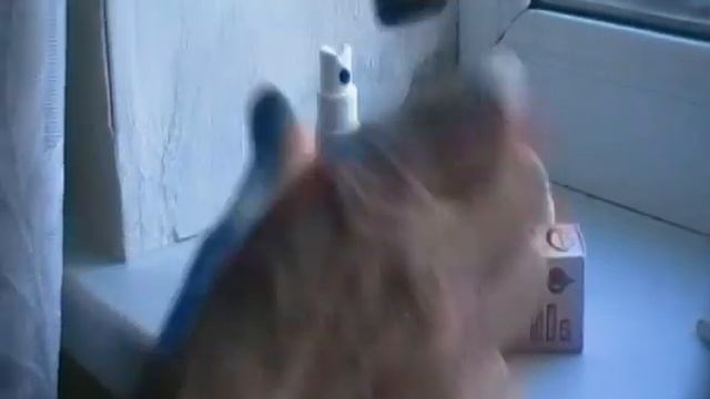 ЛОР ОРГАНЫ,ДЕРИНАТ ЛЕЧИТ смотреть онлайн