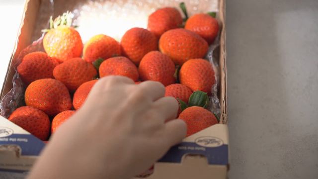 Post Festivities Reset | Home reset, getting my life together, productive days смотреть онлайн