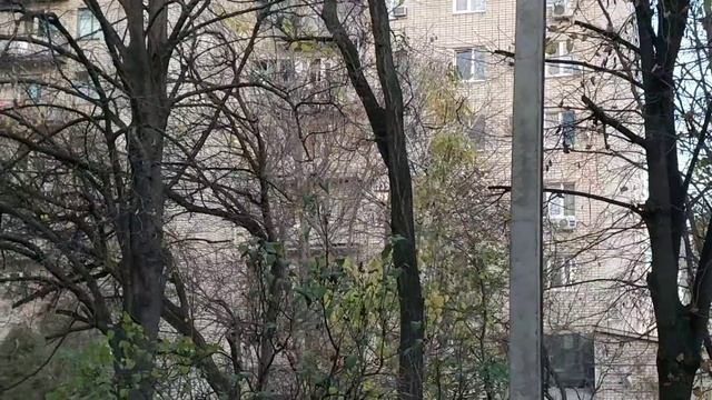Дешёвое жилье в Краснодаре Недвижимость до миллиона рублей Первое жильё дешево Прописка в Краснодар