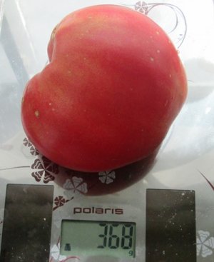 Томат Розовый Мёд