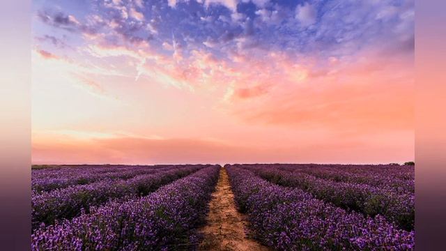 Музыка Для Медитации 20 Минут смотреть онлайн