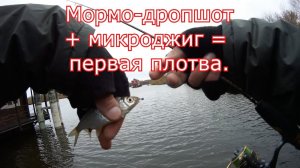 Мормо-дропшот + микроджиг = первая плотва.