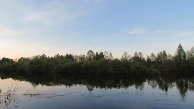 Птички поют на закате над рекой смотреть онлайн