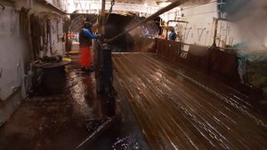 Выборка трала в неспокойном Баренцевом море полярной ночью / В поиске трески
