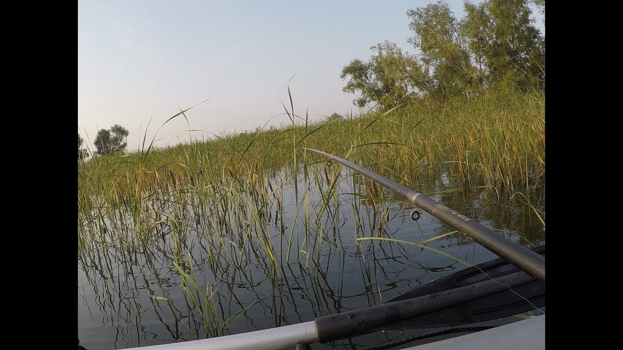 РЫБАЛКА С ЛОДКИ|РЫБАЛКА В ЗАЛИВАХ ВОЛГИ|ЛОВЛЯ НА ПОПЛАВОК смотреть онлайн