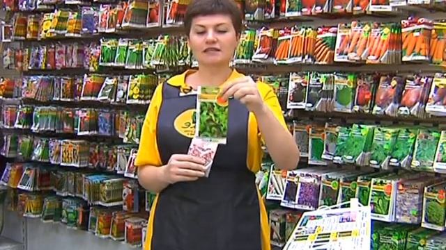 28 01 13 ЦВЕТЫ салаты смотреть онлайн