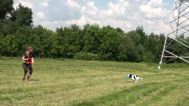 "Захватывающие диски" Полина и Бирюса смотреть онлайн