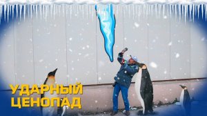 Ударный ценопад! Скидки - 15% на оборудование GYS!